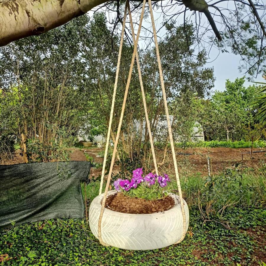Agriturismo Il Cipresso Vada Luaran gambar