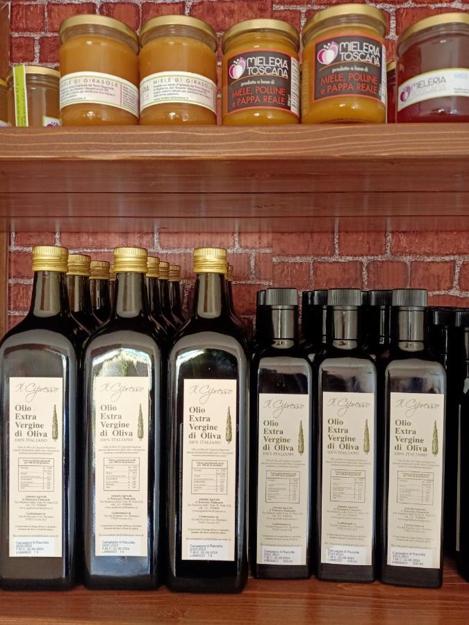 Agriturismo Il Cipresso Vada Luaran gambar