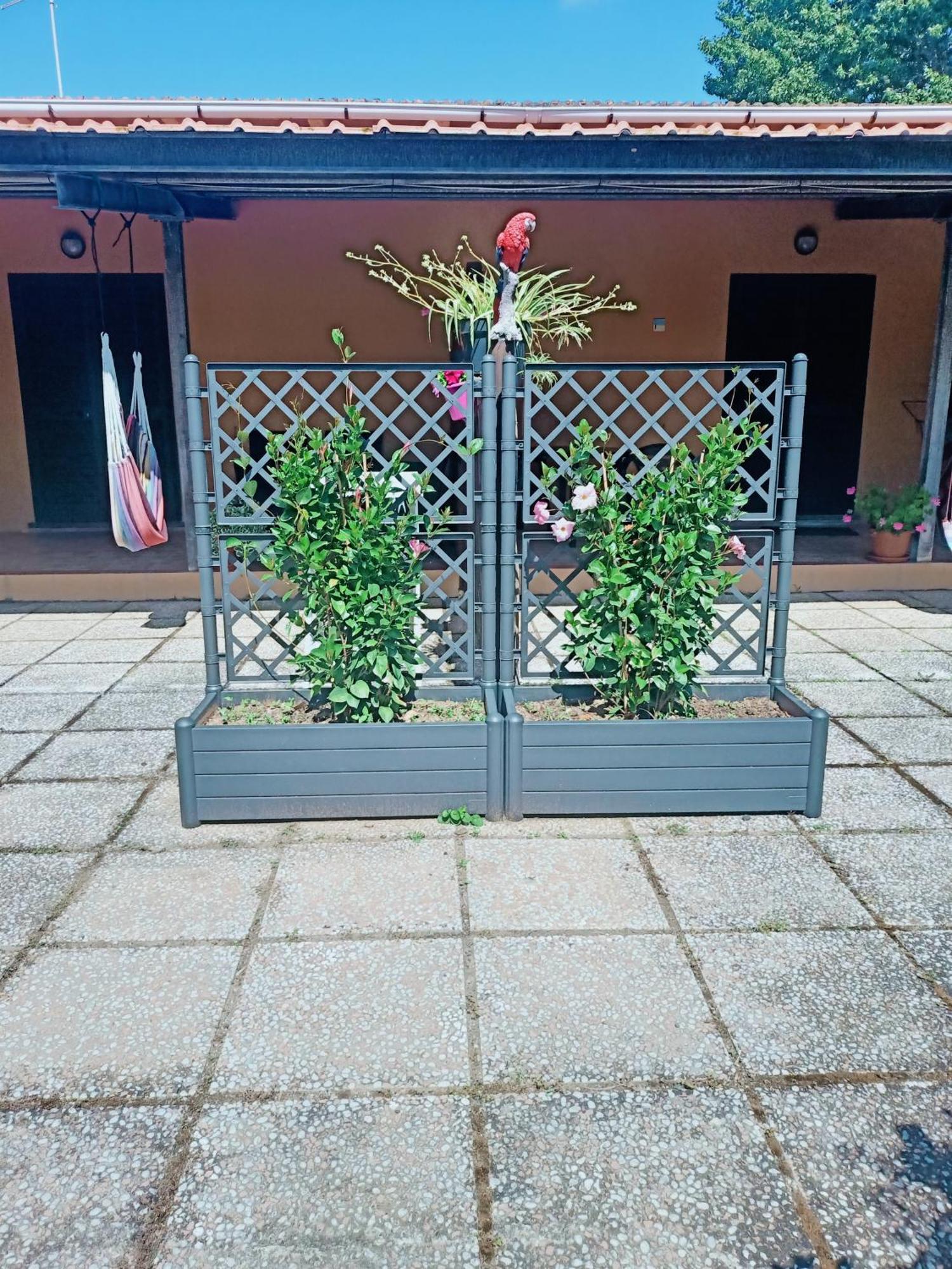 Agriturismo Il Cipresso Vada Luaran gambar