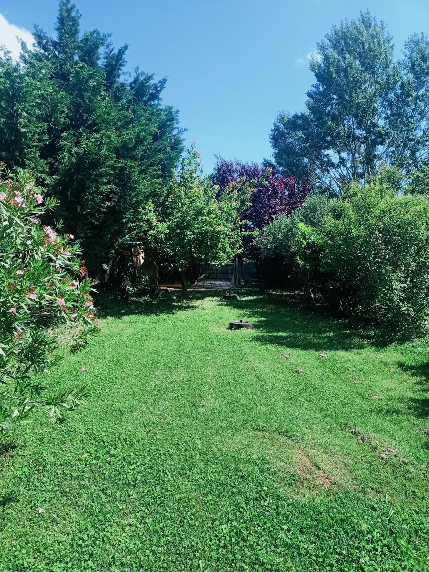 Agriturismo Il Cipresso Vada Luaran gambar