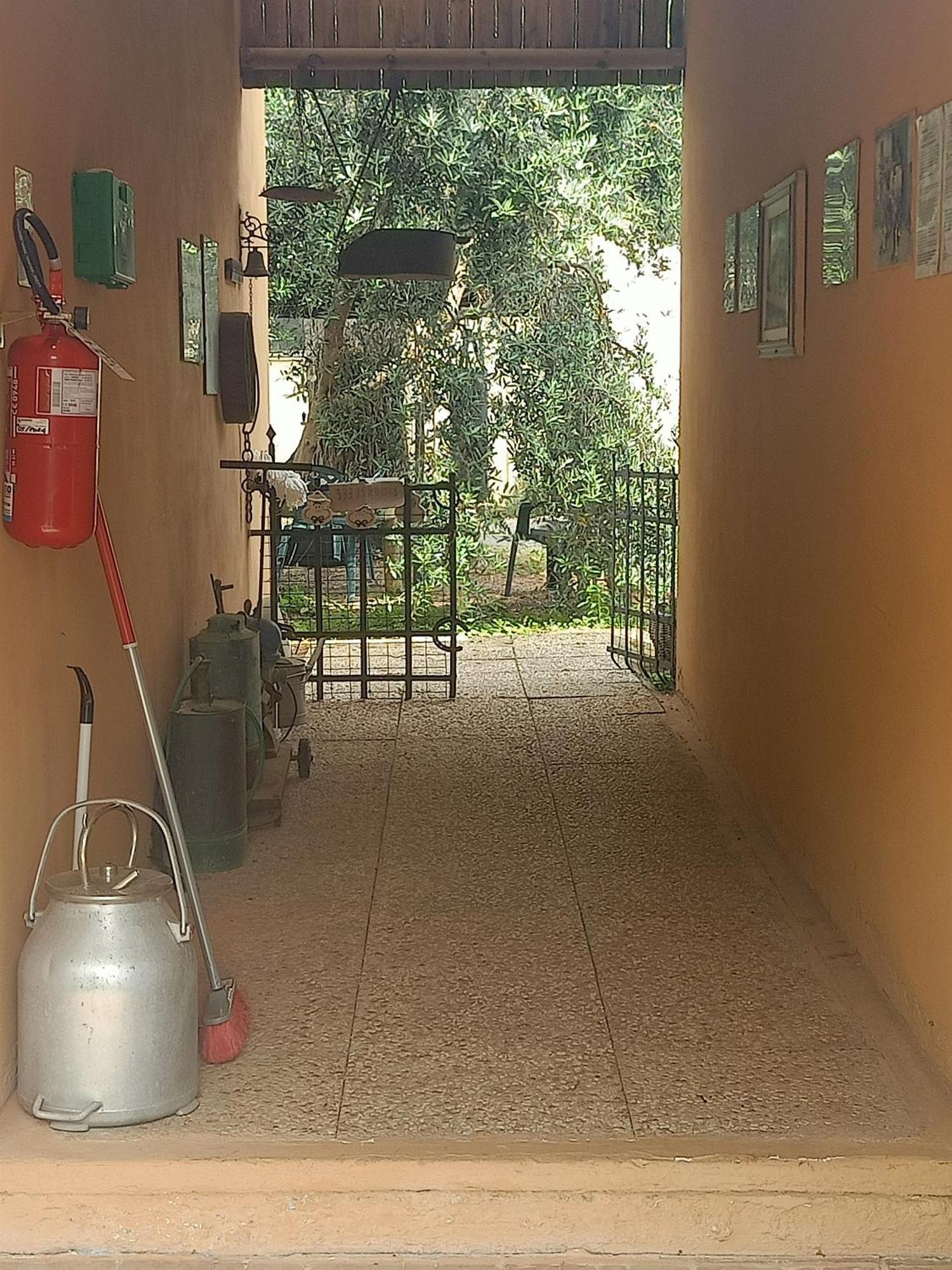 Agriturismo Il Cipresso Vada Luaran gambar
