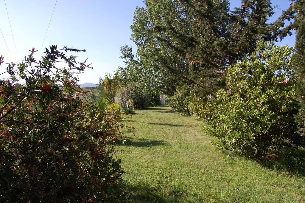 Agriturismo Il Cipresso Vada Luaran gambar